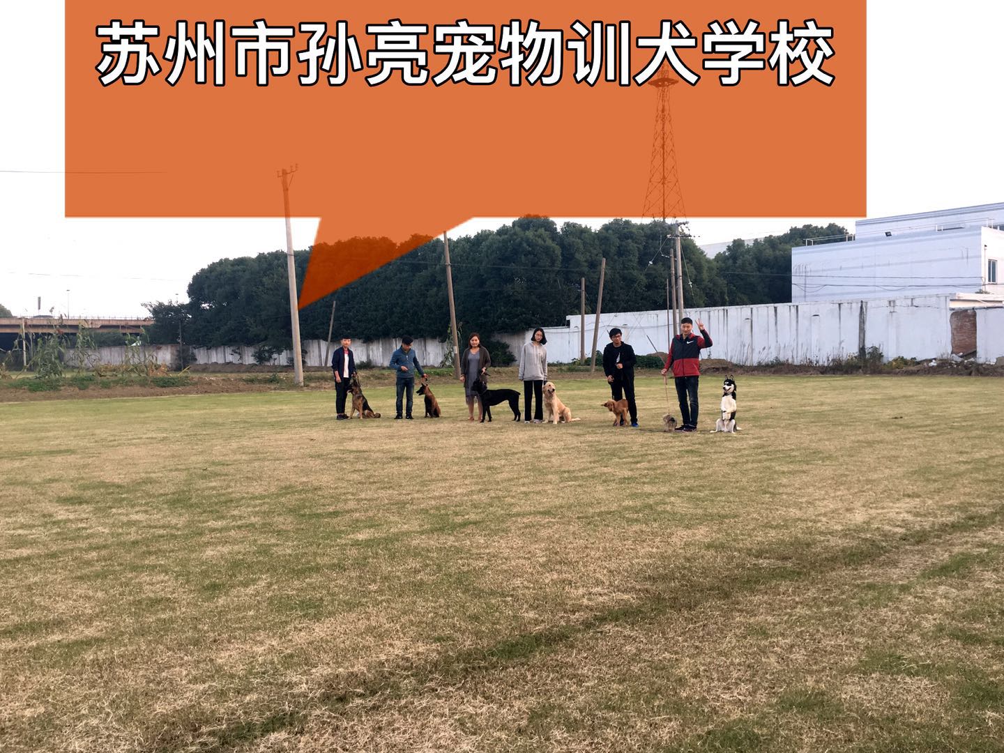 苏州市孙亮宠物训犬学校服务团队