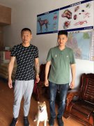 客户送犬来训练