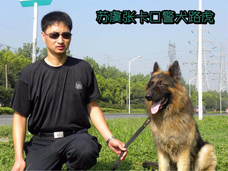 孙亮训犬老师在苏虞张卡口与警犬路虎